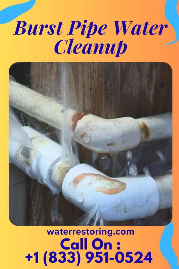Burst Pipe Water Cleanup in Kalamazoo, MI