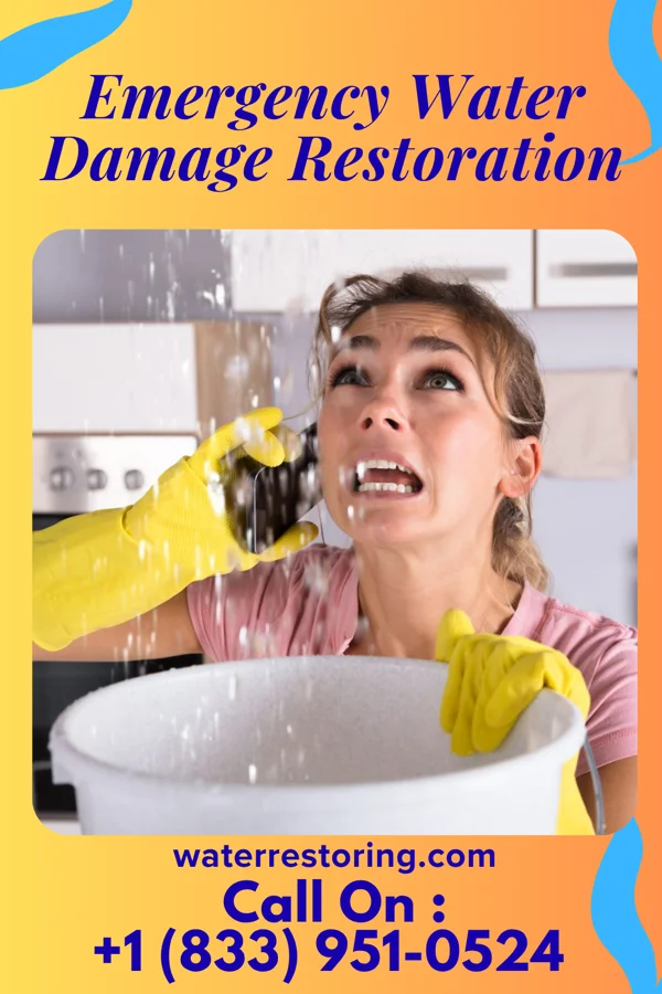 Emergency Water Damage Restoration in Kalamazoo, MI