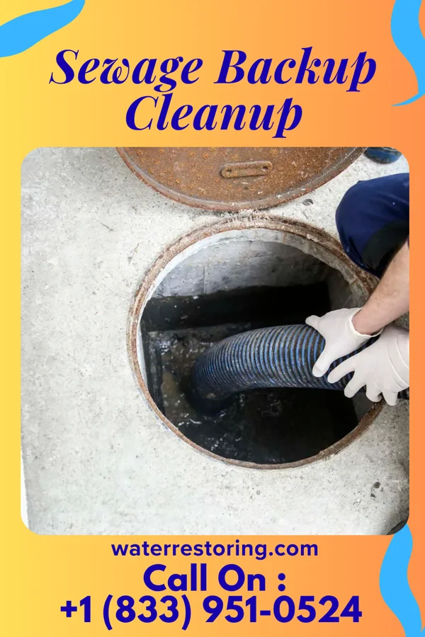 Sewage Backup Cleanup in Kalamazoo, MI